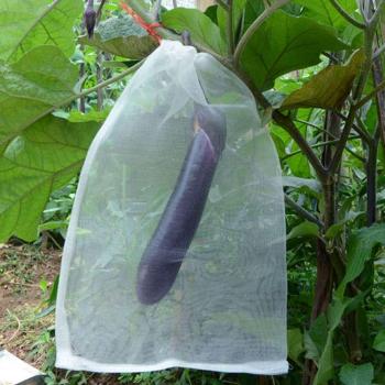 Grape Protection Netting Bags