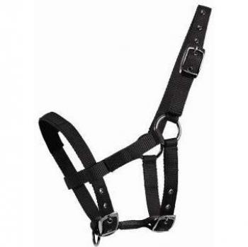 Waldhausen Mini Shetty Fitness Strap (Black)