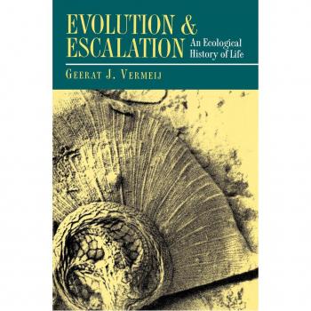 Vitalsource Technologies, Inc. Evolution And Escalation