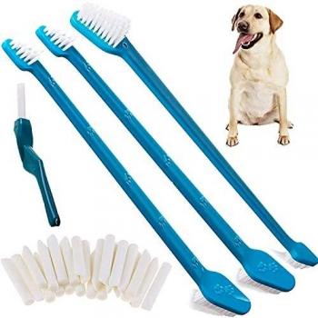 PelucheBrosse Dentaire Canine