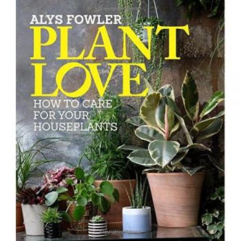 Houseplants For Everyone