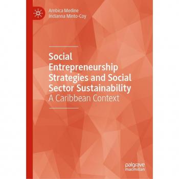 Social Entrepreneurship Strategies and Social Sector Sustainability