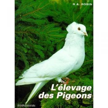 PIGEON ELEVAGE (ANIMAUX)