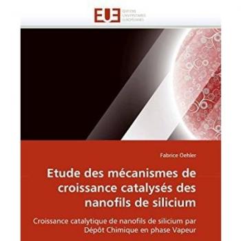 Etude des mécanismes de croissance catalysés des nanofils de silicium