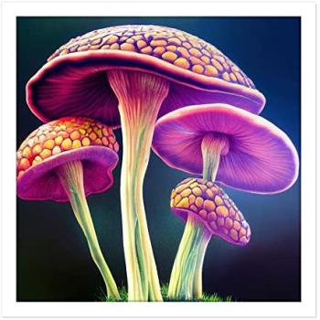 Colorful Spellbound Shroom Design