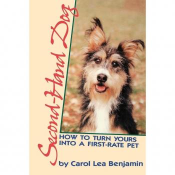 Second-Hand Dog: How to Turn Yours Into a First-Rate Pet