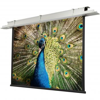 Celexon Motor Expert Leinwand 4:3 250 x 190 cm