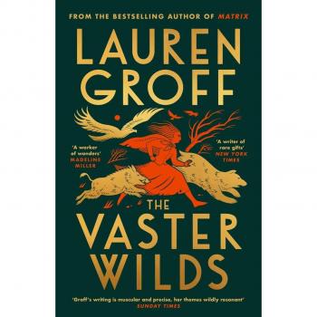 Vermilion The Vaster Wilds