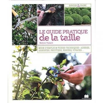 Le guide pratique de la taille