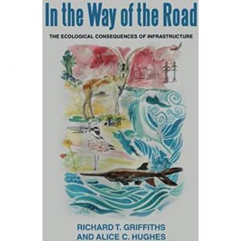 In the way of the Road