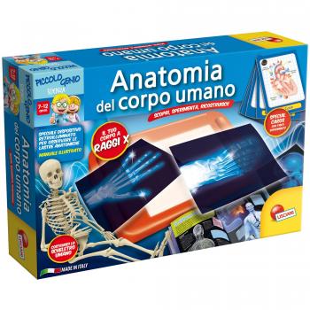 Piccola Mente: Studio dell'Anatomia