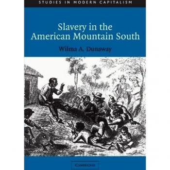 Slavery in the american mountain south