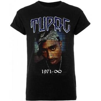 Tupac Shakur Unisex Adult 1971 Mural Cotton T-Shirt XL