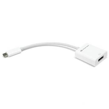 NWTADPTCDP14 USB‑C to DP Connector – 10.8 cm, White