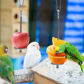 Brochette à légumes pour oiseaux