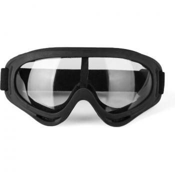 1PC Ski Goggles for Winter Sports with Dustproof Lenses