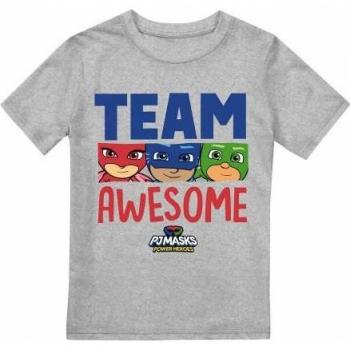 PJ Masks Kids' Heather Grey Tee – Team Awesome, 5 to 6 Years