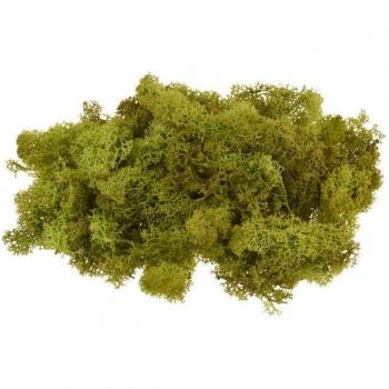 VBS Moosinsel, 100 g