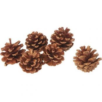 Dekorative Tannenzapfen, naturbelassen, Ø 5-6 cm, 6 Stück