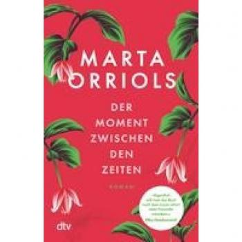 Der Moment zwischen den Zeiten: Roman
