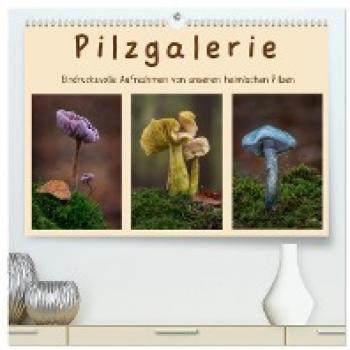 Pilzgalerie
