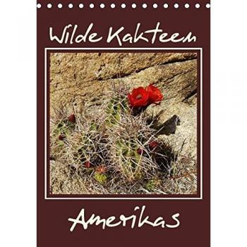 Wilde Kakteen Amerikas