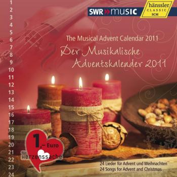 Calendario Avvento Giocattoli Musicali 2011