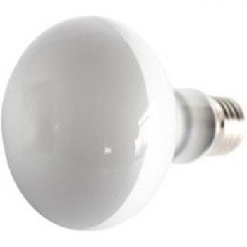 Waterproof Reptile Basking Bulb