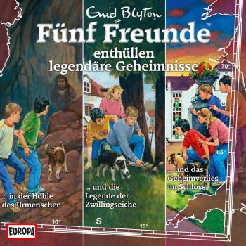 Fünf Freunde: Rätsel der Vergangenheit