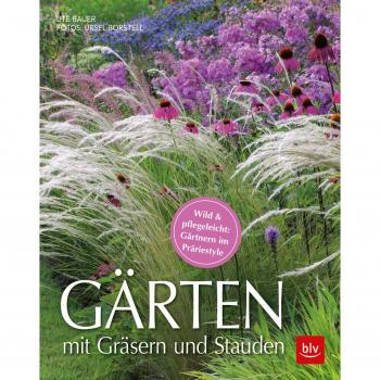 Gärten mit Gräsern und Stauden: Wild & pflegeleicht: Gärtnern im Präriestyle