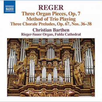 Wolfgang Rübsam Reger: Orgelwerke Vol. 16
