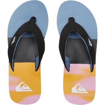 Chanclas Quiksilver Molokai Layback Hombres