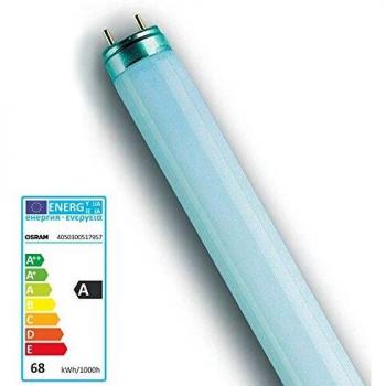 Tubo neon Osram 517957 T8 L58840