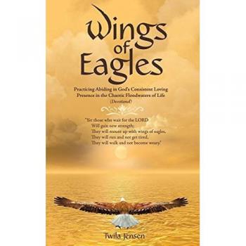 Wings of Eagles: Practicing Abiding in God'S Consistent Loving Presence in the Chaotic Floodwaters of Life (Devotional)
