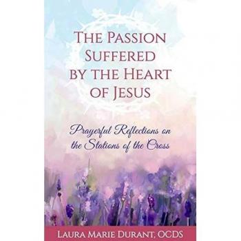The Passion Suffered by the Heart of Jesus: Prayerful Reflections on the Stations of the Cross
