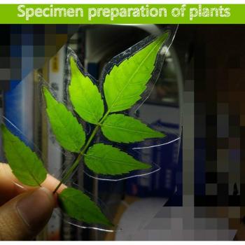 50pcs 6-inch Cold Lamination Film, PVC Transparent for 4R Photographic Specimens