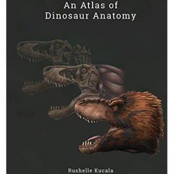 An Atlas of Dinosaur Anatomy