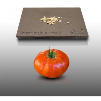 Graines de Beaux Fruits