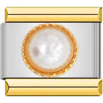 Bracelet Ailes de Princesse en acier inoxydable avec marguerite, breloques, liens italiens, 9mm, DJ199