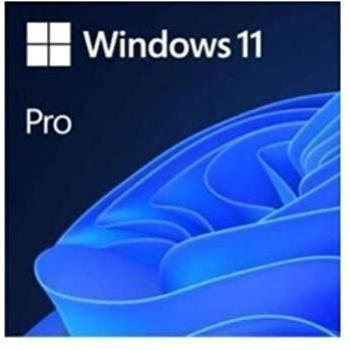 Windows 11 Pro, Betriebssystem-Software