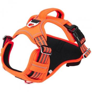All-Season Dog Training Harness