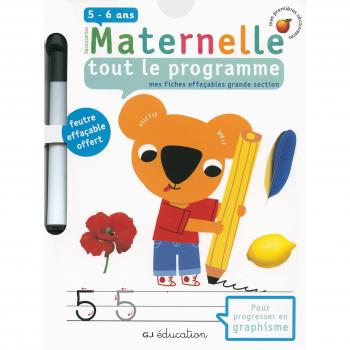 Mes fiches effaçables grande section : tout le programme maternelle 5-6 ans : Avec un feutre effaçable