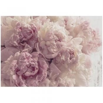 Papier Peint Panoramique Fleurs Rose 250x175 cm