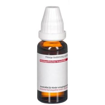20 ml Lilium Tigrin D6 Verdünnstoff