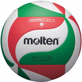 Molten FIVB PU Leather Volleyball