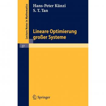 Lineare Optimierung großer Systeme