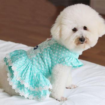 Puppy Clothes