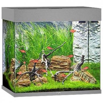 Juwel Lido 120 LED Aquarium