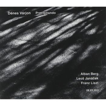 Denes Varjon: Precipitando