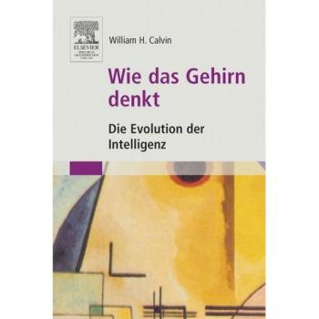 Wie das Gehirn denkt